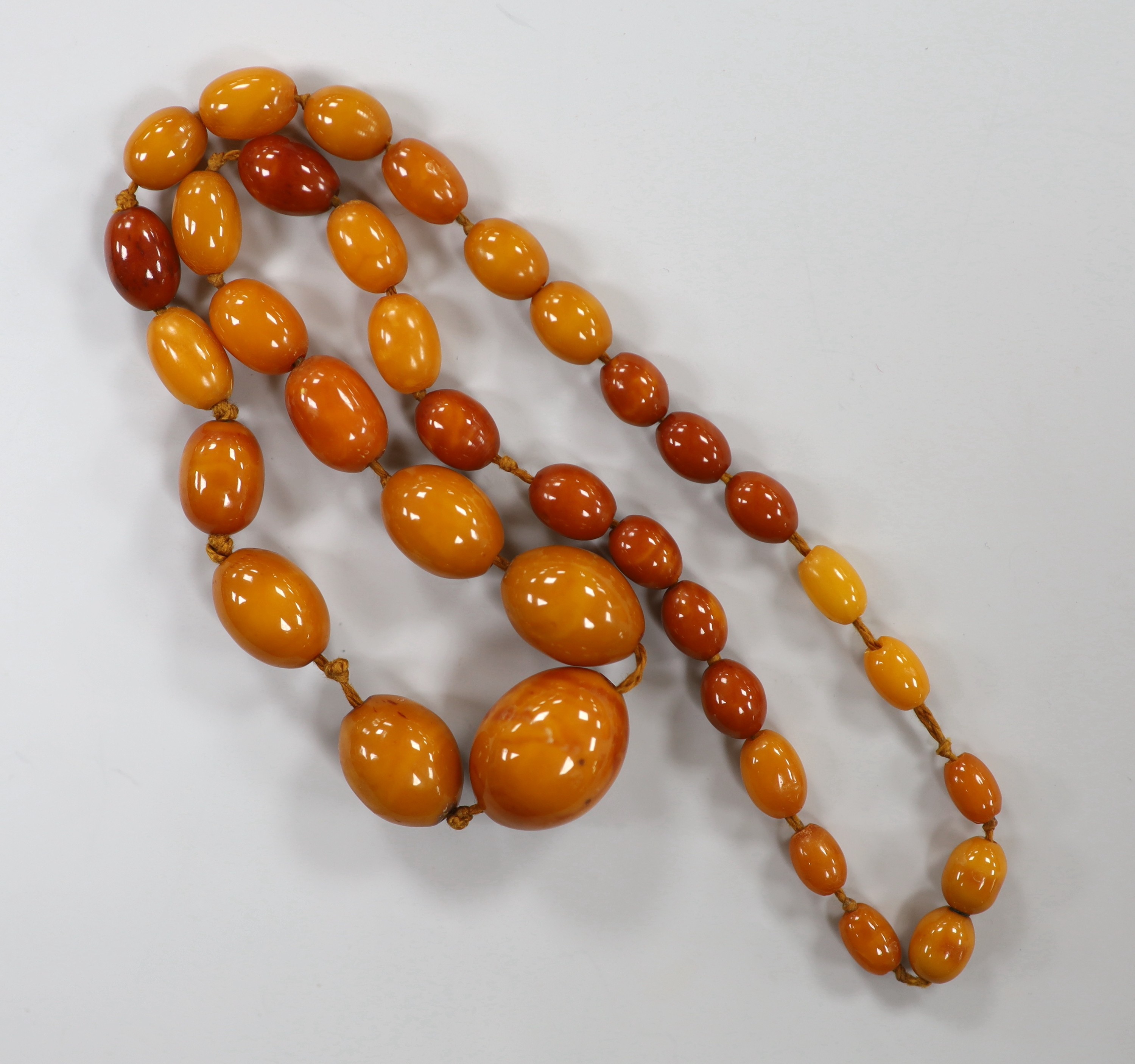 A single strand graduated amber bead necklace, 50cm, gross 31 grams.